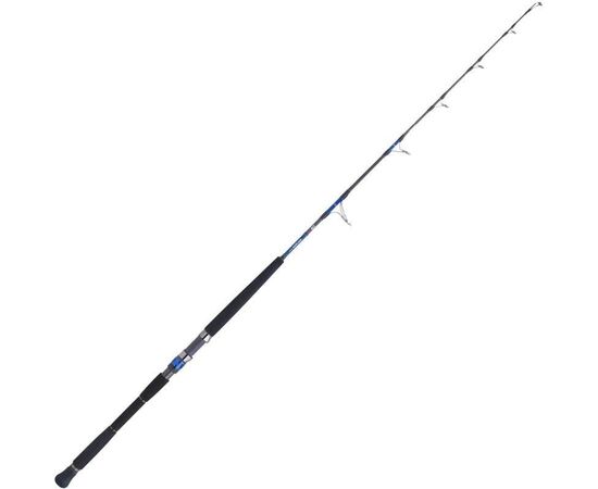 DAIWA SALTIGA DEEP EXPEDITION 58 1.72M 150-600G