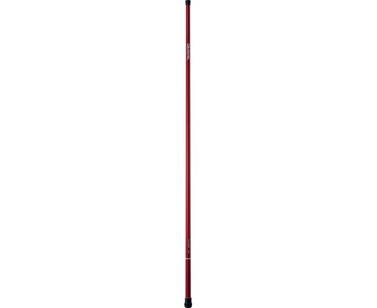 DAIWA SWEEPFIRE TELE POLE , 2 image