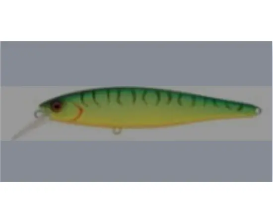DAIWA TEAM DAIWA TDM2101SP 10cm 15g , 2 image