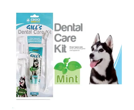 קרוקי בטעם מנטה משחת שיניים עם מברשות 100 גרם CROCI