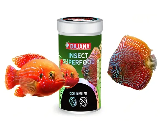 דג'אנה פאלטס סופר פוד חרקים לציקלידים