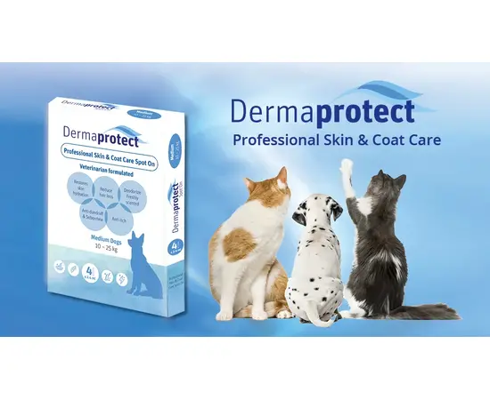 טיפות דרמה פרוטקט לכלב 25-10 ק"ג - טיפוח והיגיינה לשמירה על בריאות הכלב, 2 image