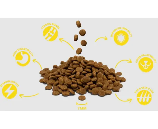 דיווינוס פלייבור עוף לחתולים - מזון סופר פרימיום 18 ק"ג, 2 image