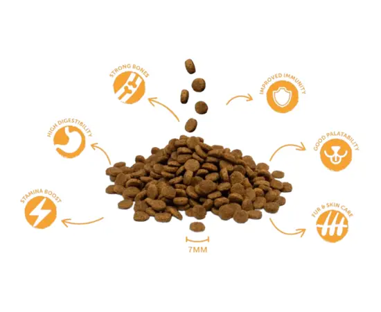 דיווינוס מזון סופר פרימיום לסלמון לחתולי רחוב 18 ק"ג, 2 image