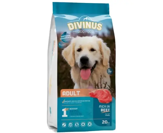 דיווינוס בוגר מזון לכלבים בוגרים - 20 ק"ג Divinus – דיווינוס