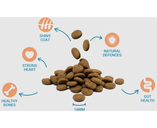 דיווינוס בוגר מזון לכלבים בוגרים - 20 ק"ג Divinus – דיווינוס, 3 image