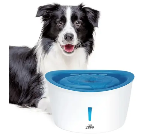 מזרקת מים זאוס לכלבים 6 ליטר | רק 259 ש"ח, 2 image