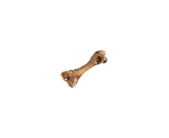 עצם ממוטה ג'מבו טבעית ענקית